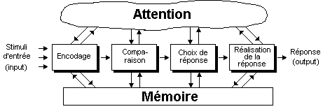 mod&egrave;le &eacute;tendu