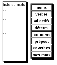 application aux cat&eacute;gories grammaticales